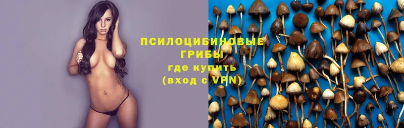 mega сайт  нарко площадка наркотические препараты  Галлюциногенные грибы Magic Shrooms  Уяр 